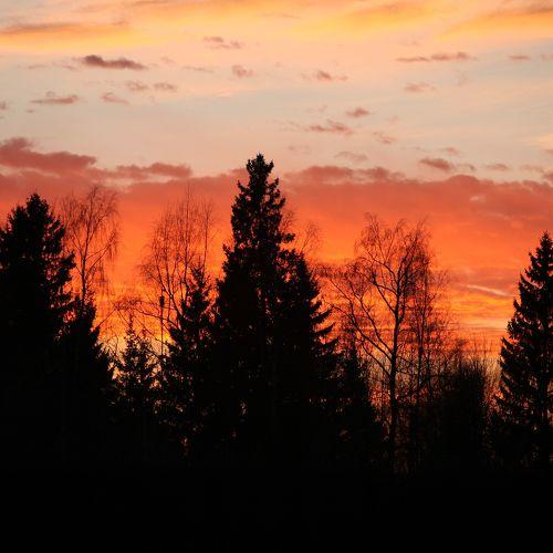 Photo #3058021