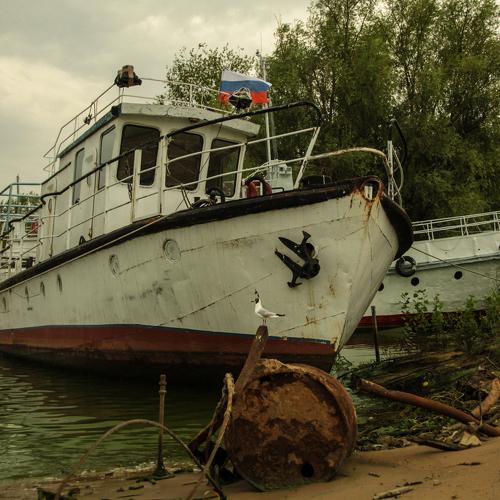 Человек, ты загрязняешь природу