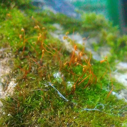 Photo #3060056