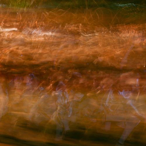 The dancers