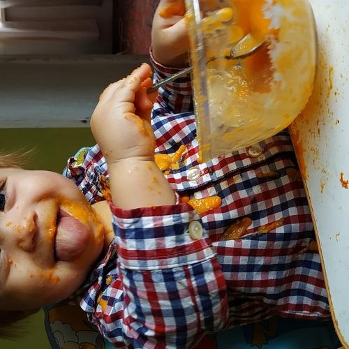 Photo #3062186