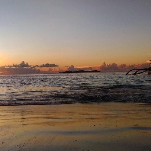 Photo #3063317