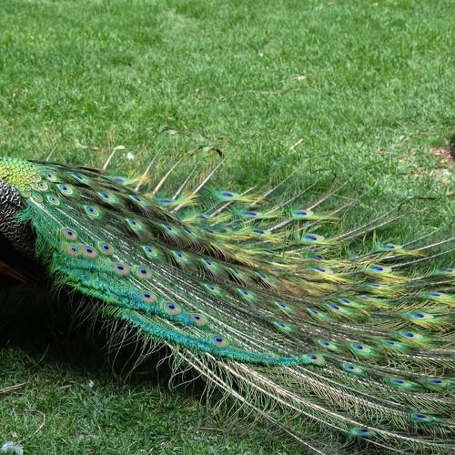 Photo #3063872