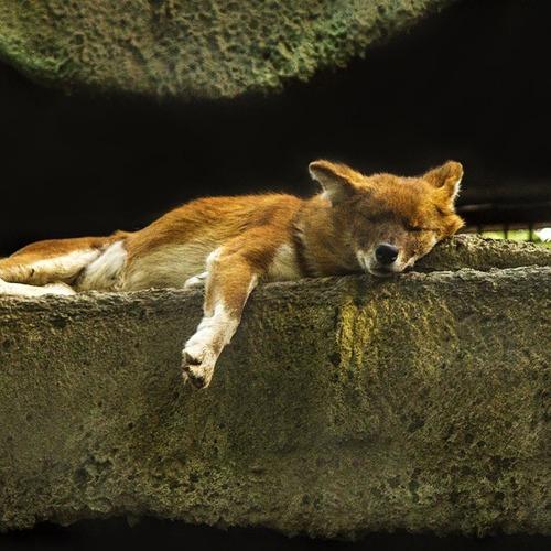 having a rest(Отдыхая)