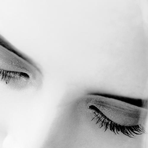 Photo #3063993