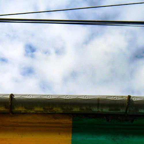 Photo #3064587