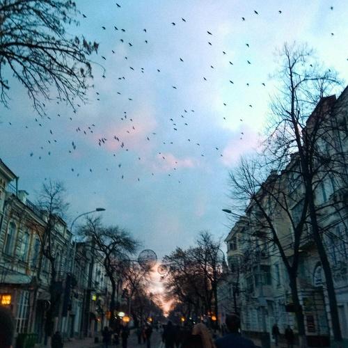 Photo #3064814