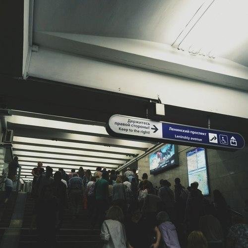 Photo #3064836