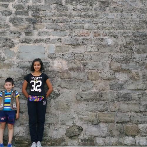 Photo #3065121