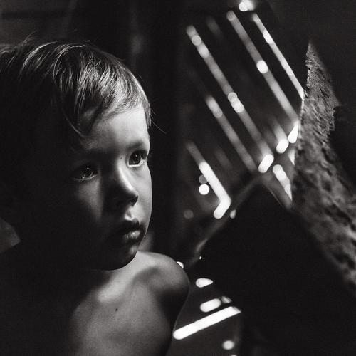 Photo #3065711
