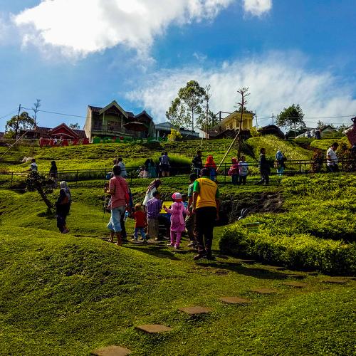 Berwisata Di Bukit Yang Indah