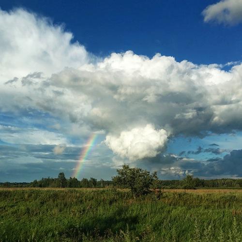 Photo #3066949