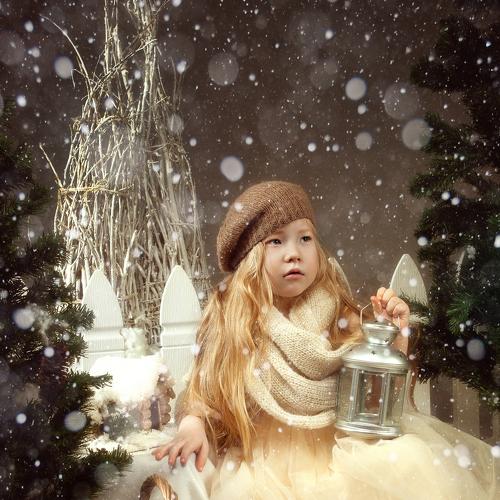 Photo #3067755