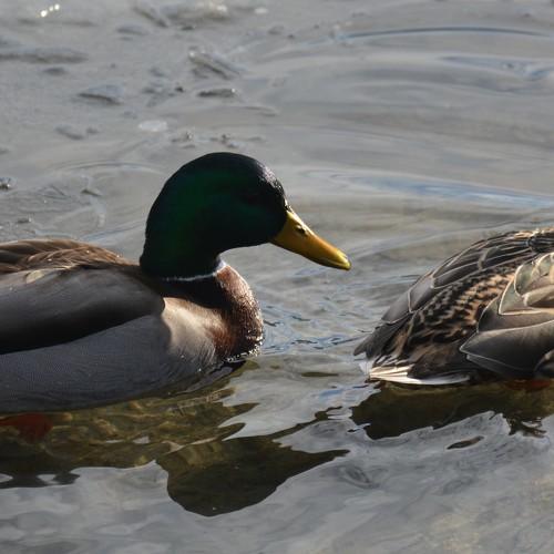 Photo #3067803