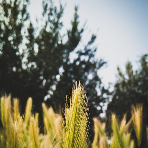 One Day In Nature