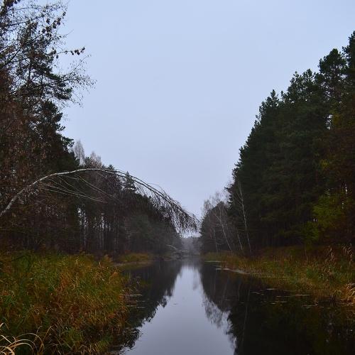 Колесо