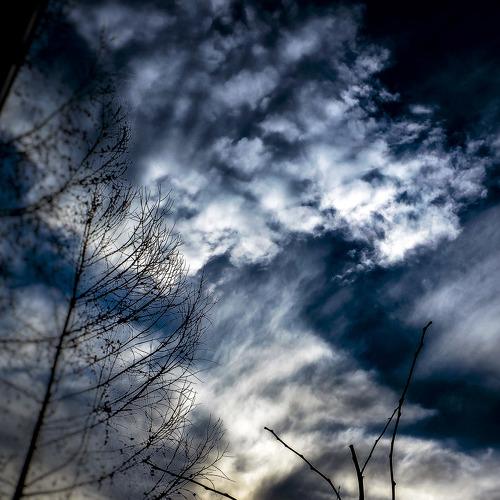 Backyard Cloudscape
