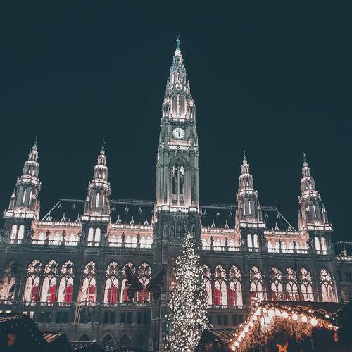 Vienna Christmas market atmosphere