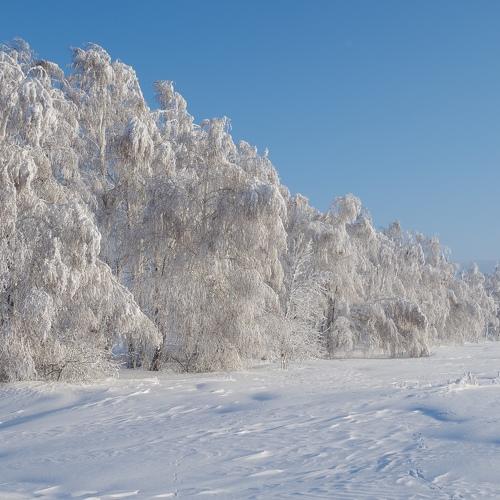 Photo #3071229