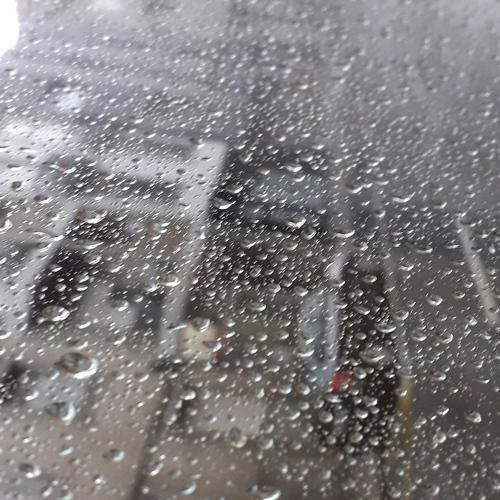 Photo #3071624