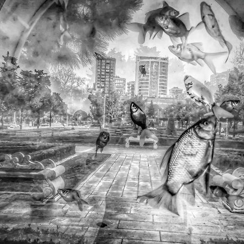 Day dream in the city