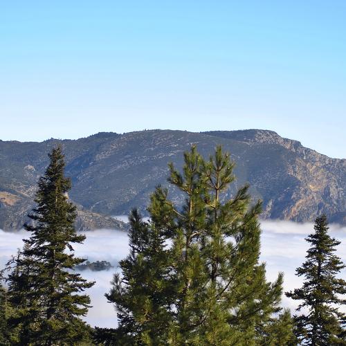 Inside the Clouds