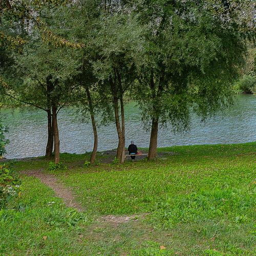 By the river