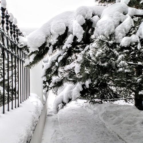 Возле храма