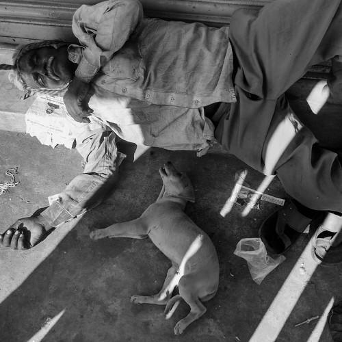 A abonded poor dog with loyal friend