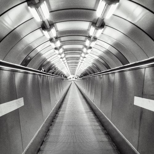 Photo #3078824
