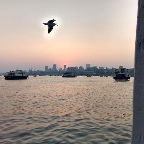 Sunset among the buildings