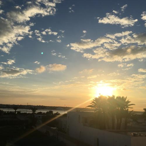 Photo #3080564