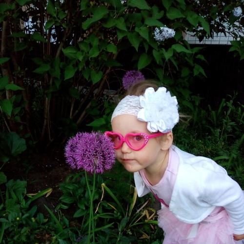 Photo #3080599