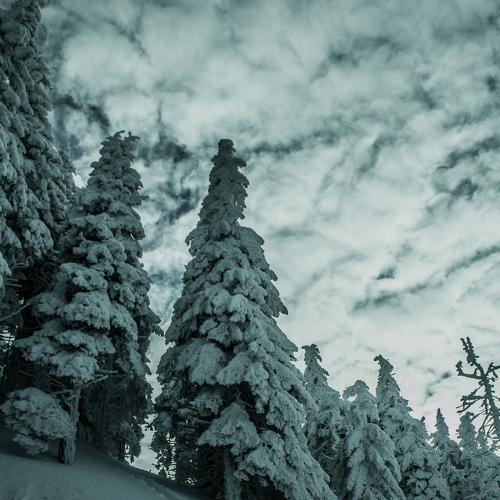 Cold Nature