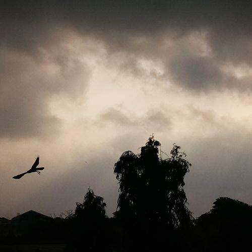 CHAINED.... to the SKY