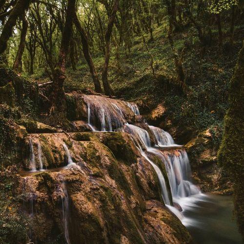 The nature