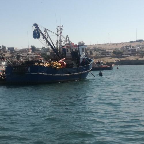 Barcos