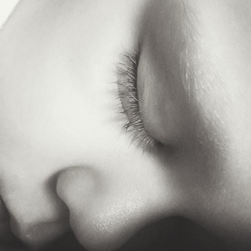 Photo #3083606