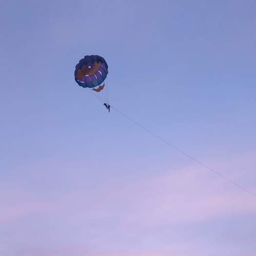 The fearless flight