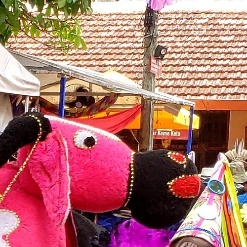 O menino e o boi de Carnaval