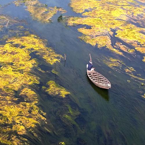 Life and river