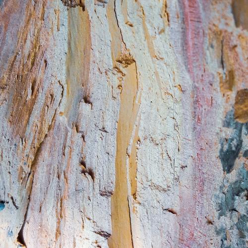Photo #3086475