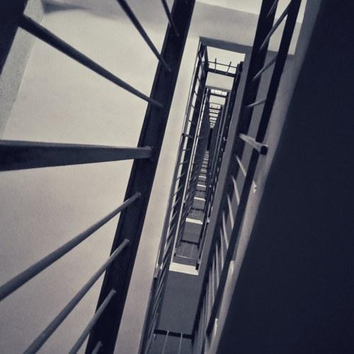 Photo #3086821
