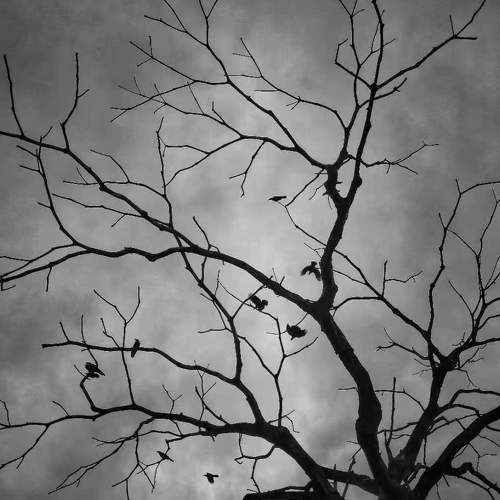 Darkness all around
