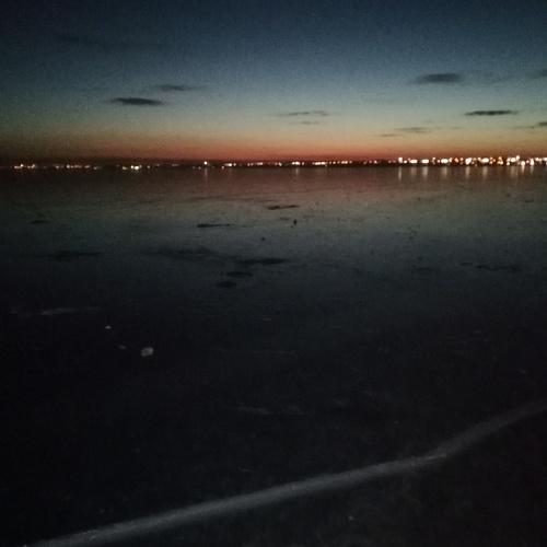 Photo #3088310
