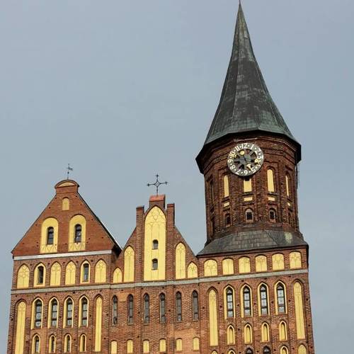 Photo #3088335