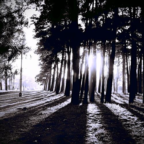 A light of hope