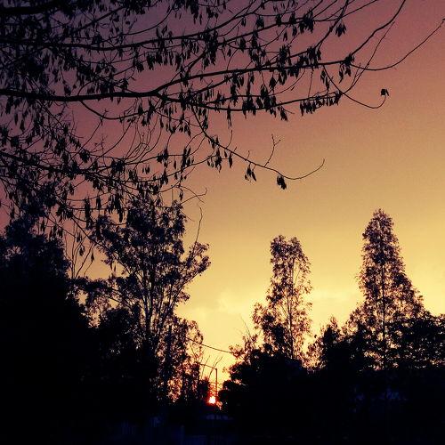 Beautiful Sunset