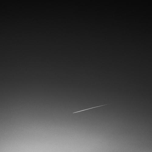 Flight