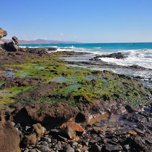 Fuerteventura landscape